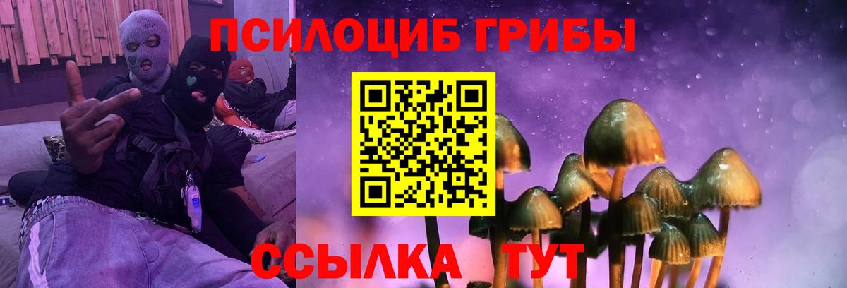 Псилоцибиновые грибы ЛСД Белогорск